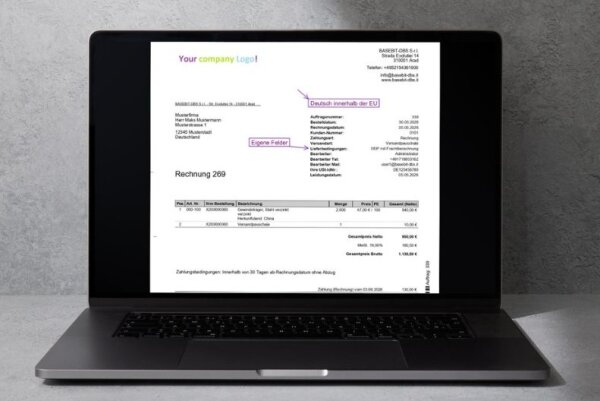 E-Rechnung (XML Rechnung) (Preis-100 Stück), Druckvorlage in Deutsch und Englisch - JTL WAWI ab 2.0.0